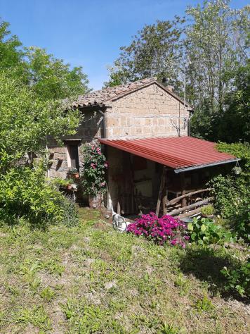 Nella frazione di Osteriola, nel comune di Proceno a pochissimi passi da San Giovanni delle Contee
vendiamo Immobile completamente ristrutturato libe - Foto 5