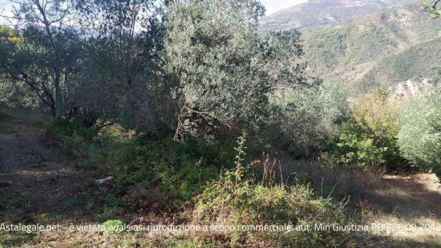 R.G.E. 42/2021 Campobasso - Foto 2