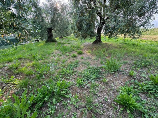 Terreno agricolo in vendita a Ripoli - Cascina 740 mq Rif: 1329214 - Foto 3