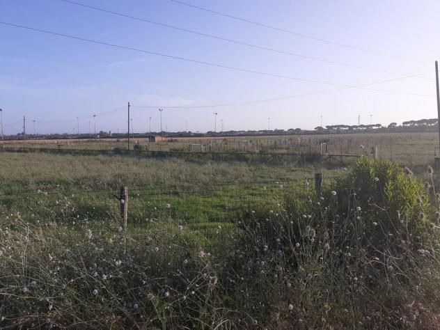 Terreno agricolo in vendita a Pisa 12000 mq Rif: 1169904