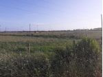 Terreno agricolo in vendita a Pisa 12000 mq  Rif: 1169904