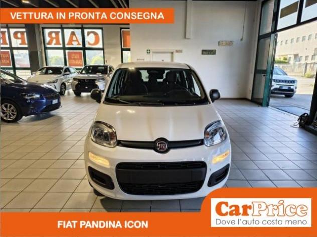 FIAT Pandina 1.0 FireFly 65CV Hybrid Icon (5 Posti) rif. 23975985 - Foto 7