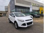 FORD Kuga 2.0 TDCI 163 CV 4WD Powershift Titanium rif. 23930897