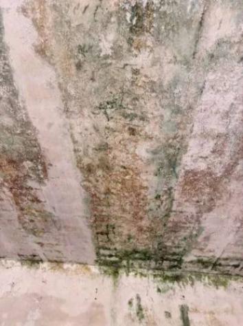 Immobile in asta di 1960 m² in vendita a Credaro - Foto 14