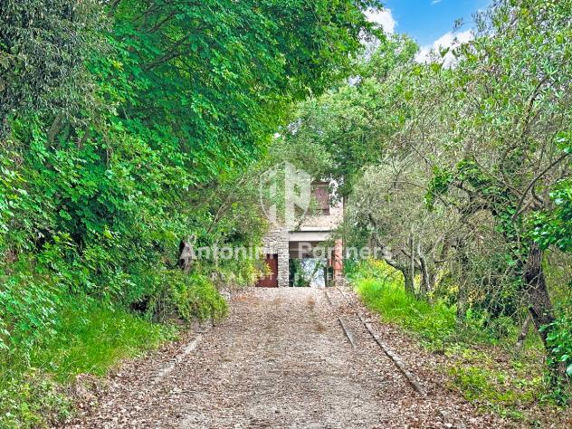 Villa in vendita a Paciano - Foto 3