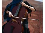 Violoncellista Milano