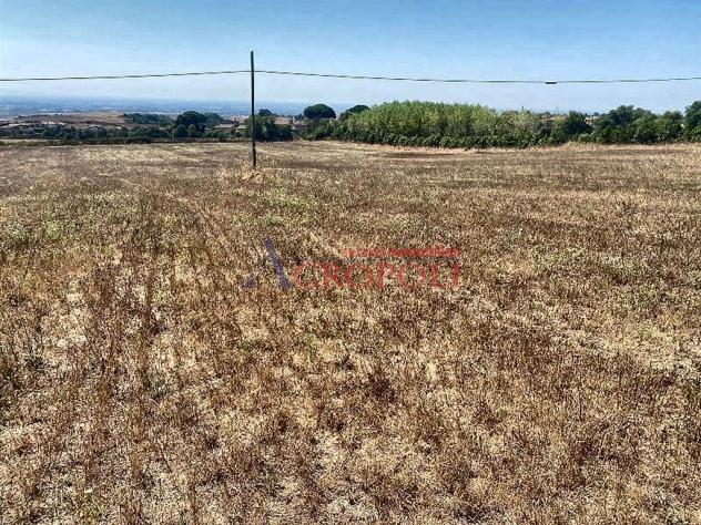 Terreno Agricolo - Rif. 2415 - Foto 14