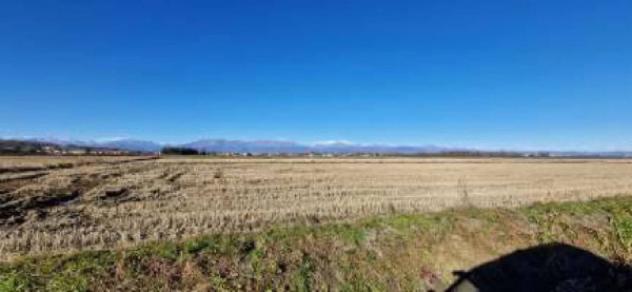 Immobile in asta di 8480 m² in vendita a Carisio - Foto 4