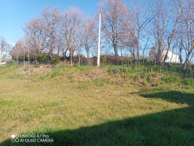 Casale in vendita a Castel Frentano - Foto 8