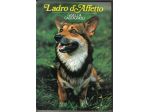 R49 - LADRO D'AFFETTO