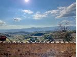 AZIENDA AGRICOLA di 1827 mq (MURLO) rif. L 213