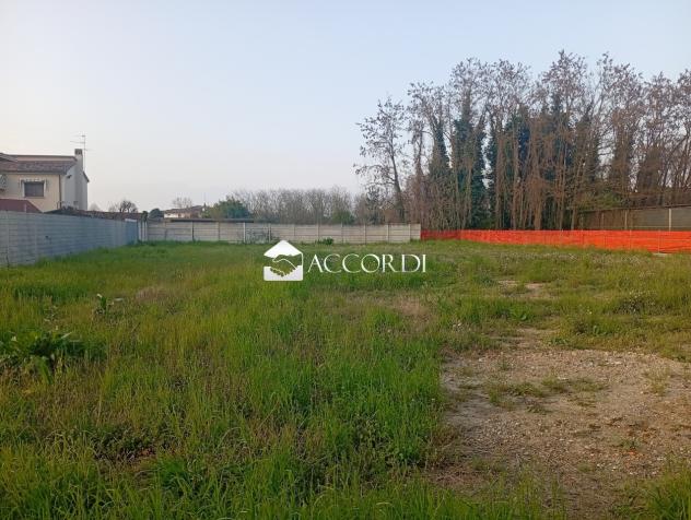 RIF.LLM13 - TERRENO EDIFICABILE FRONTESTRADA DI 1000 MQ IN MONTEGROTTO - Foto 7