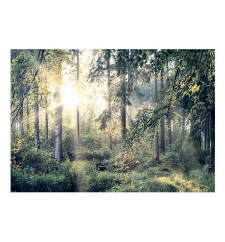 Fotomurale Adesivo Nella Foresta Tropicale Arredalacasa - Foto 2