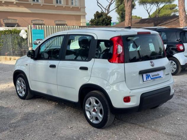 FIAT Panda Hybrid Citylife 1.0cc 70cv rif. 24175664 - Foto 4