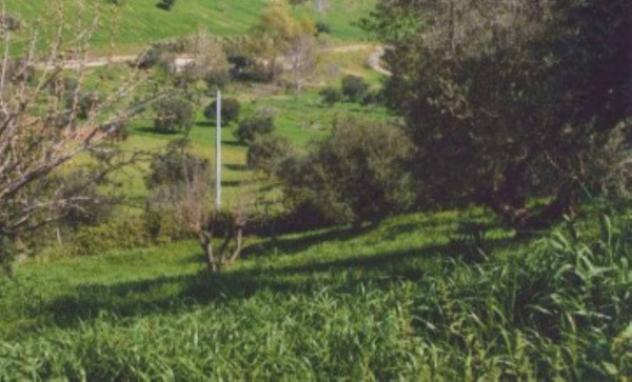 Immobile in asta di 2000 m² in vendita a Roggiano Gravina - Foto 6