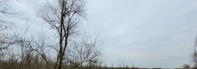 Immobile in asta di 101315 m² in vendita a Santena - Foto 8