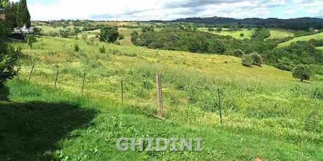 TERRENO AGRICOLO di 1 vani e di 1 mq (CAMPAGNATICO - CENTRO) rif. 2511.227M - Foto 4