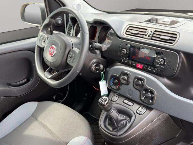 FIAT Panda 1.2bz van 4 posti rif. 23448602 - Foto 10