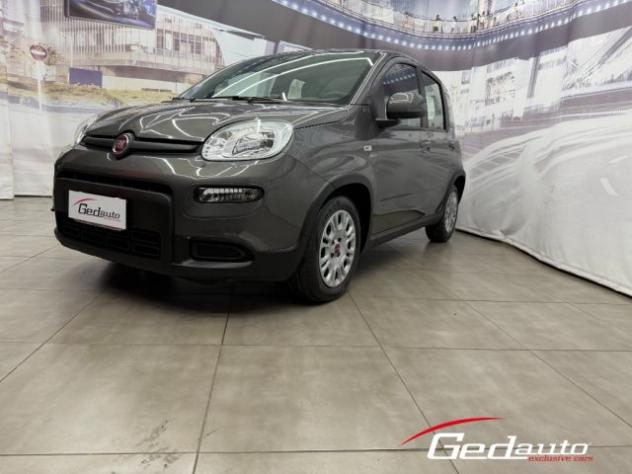 FIAT Panda 1.0 FireFly S&S Hybrid City Life rif. 23742143 - Foto 3