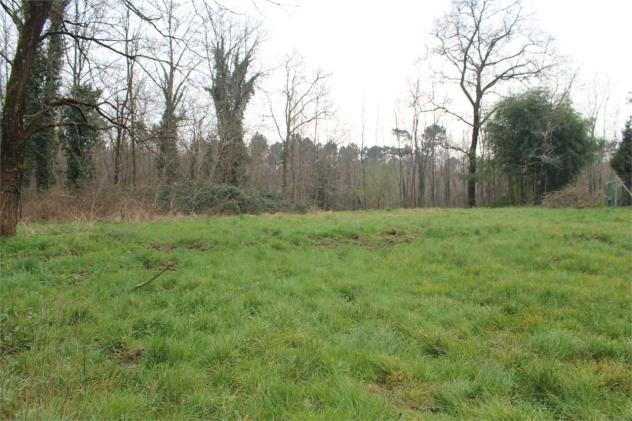 Colonica in vendita a Orentano - Castelfranco di Sotto 240 mq Rif: 546768 - Foto 3