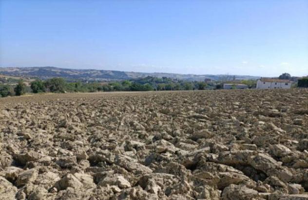 Immobile in asta di 15707 m² in vendita a Mondolfo - Foto 6