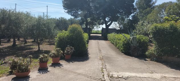 Località Borgo Cervaro - Foto 2