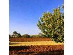 Tenuta Santa Giovanna