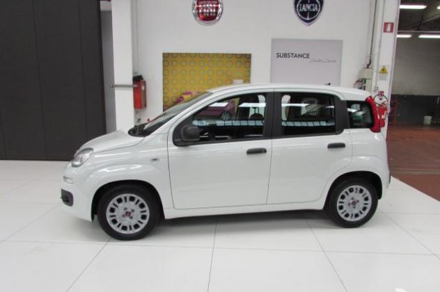 FIAT Panda 1.0 FireFly 70cv S&S Hybrid Easy rif. 23795594 - Foto 4