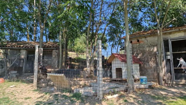 Porzione di casa in vendita a Montecastrilli - Foto 18