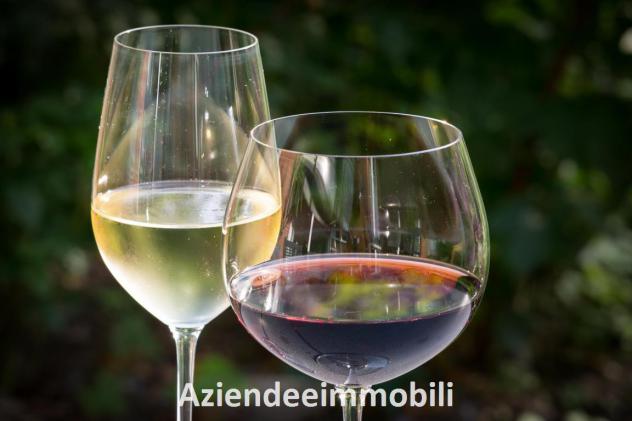 Oggiono bar tavola calda pizzeria in vendita - Foto 10