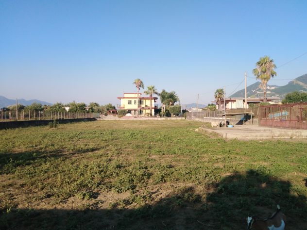 Terreno agricolo