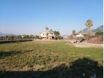Terreno agricolo
