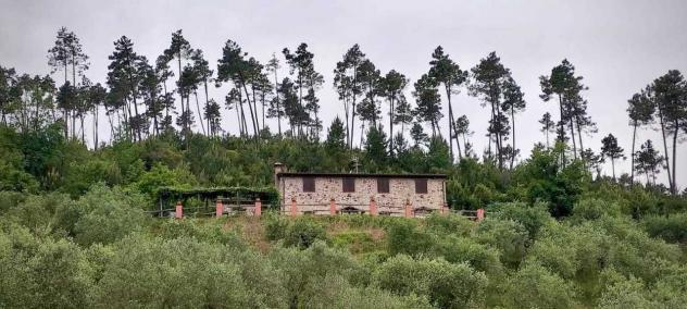 Casale in vendita a Buti - Foto 20