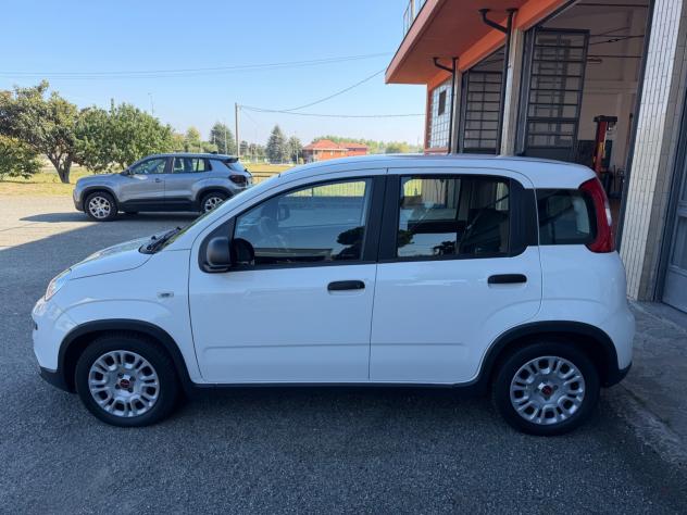 Fiat Panda 1.0 FireFly S&S Hybrid - Foto 10