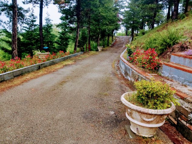 Villa indipendente a Pianoro (BO) - Foto 4