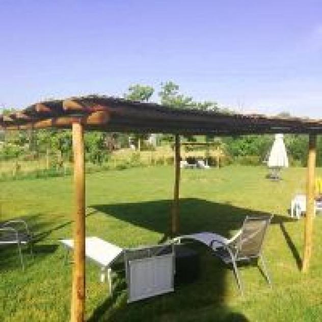 Azienda Agricola Casanova Societa' Agricola - Societa' Semplice di Nardini Ivana & C. - Foto 4
