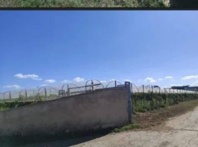Immobile in asta di 15000 m² in vendita a Licodia Eubea - Foto 3