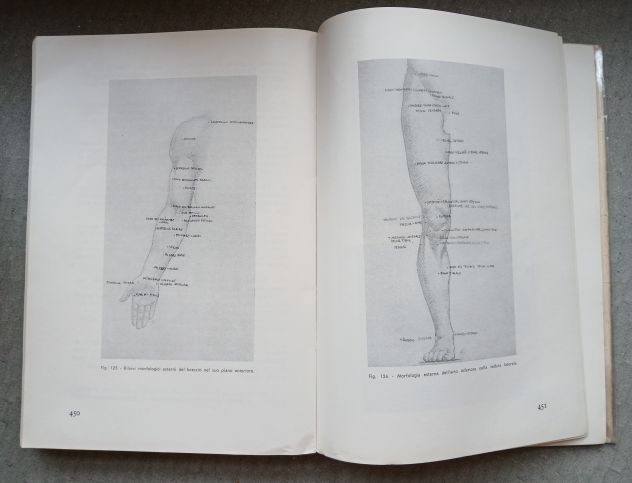 ANATOMIA PER GLI ARTISTI, Ed. F.lli Lega 1968. - Foto 9