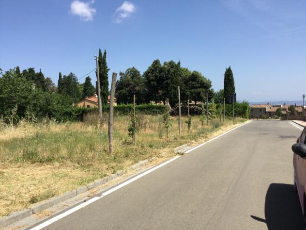 Agricolo in vendita a Chianni - Foto 5