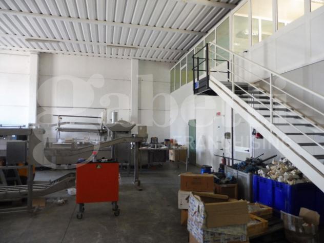 Capannone Industriale - Pojana Maggiore . Rif.: Cod. rif 3314770VCG - Foto 6