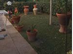 Appartamento in vendita a Poggio a Caiano 140 mq  Rif: 1449179