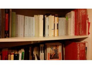 LEZIONI LATINO E GRECO