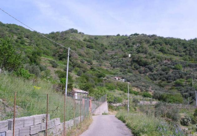 Immobile in asta di 1770 m² in vendita a Itala - Foto 5
