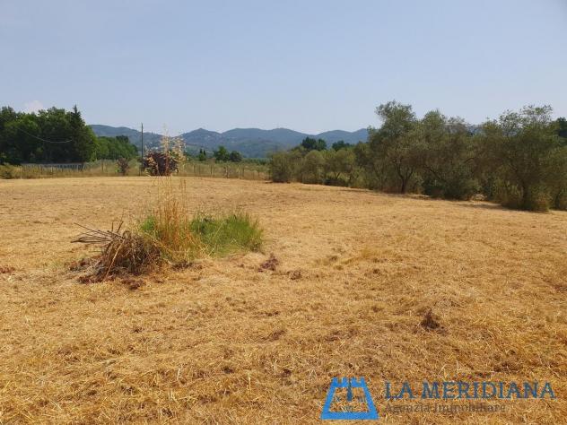 Terreno agricolo in vendita a Lamporecchio 10000 mq Rif: 1362349 - Foto 4