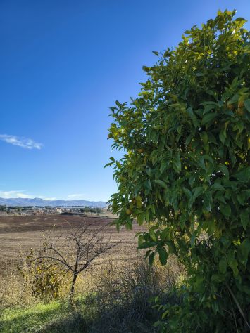 roma est terreno agricolo di 27 ettari - Foto 8