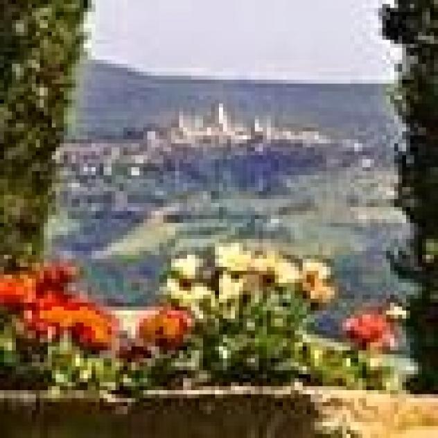 Fattoria Poneta di Filippo Maria Daidone - Foto 2