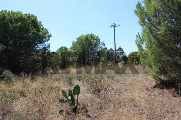 Terreno in vendita a Nicolosi - Foto 19
