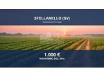 Immobile in asta di 3330 m² in vendita a Stellanello