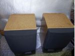 Diffusori acustici Pioneer micro stereo