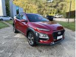 Hyundai Kona Kona 1.6 CRDI 115 CV Style
